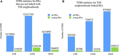 Profiling of Human Molecular Pathways Affected by Retrotransposons at the Level of Regulation by Transcription Factor Proteins